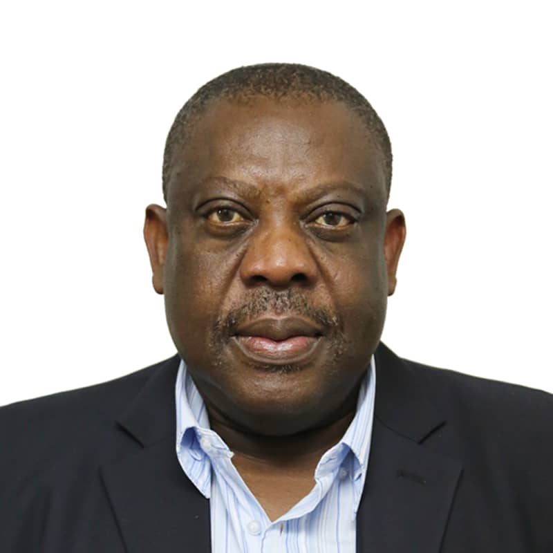 Dr Adesina A. Agboluaje — Chairman, Sinolat Consultants and former MD of NEPZA